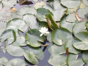 4425_561164440202_4361659_n