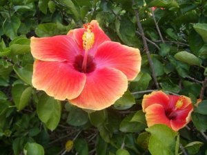 2666_543886959412_7919858_n